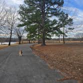 Review photo of Sheppard Point by Teresa T., February 10, 2026