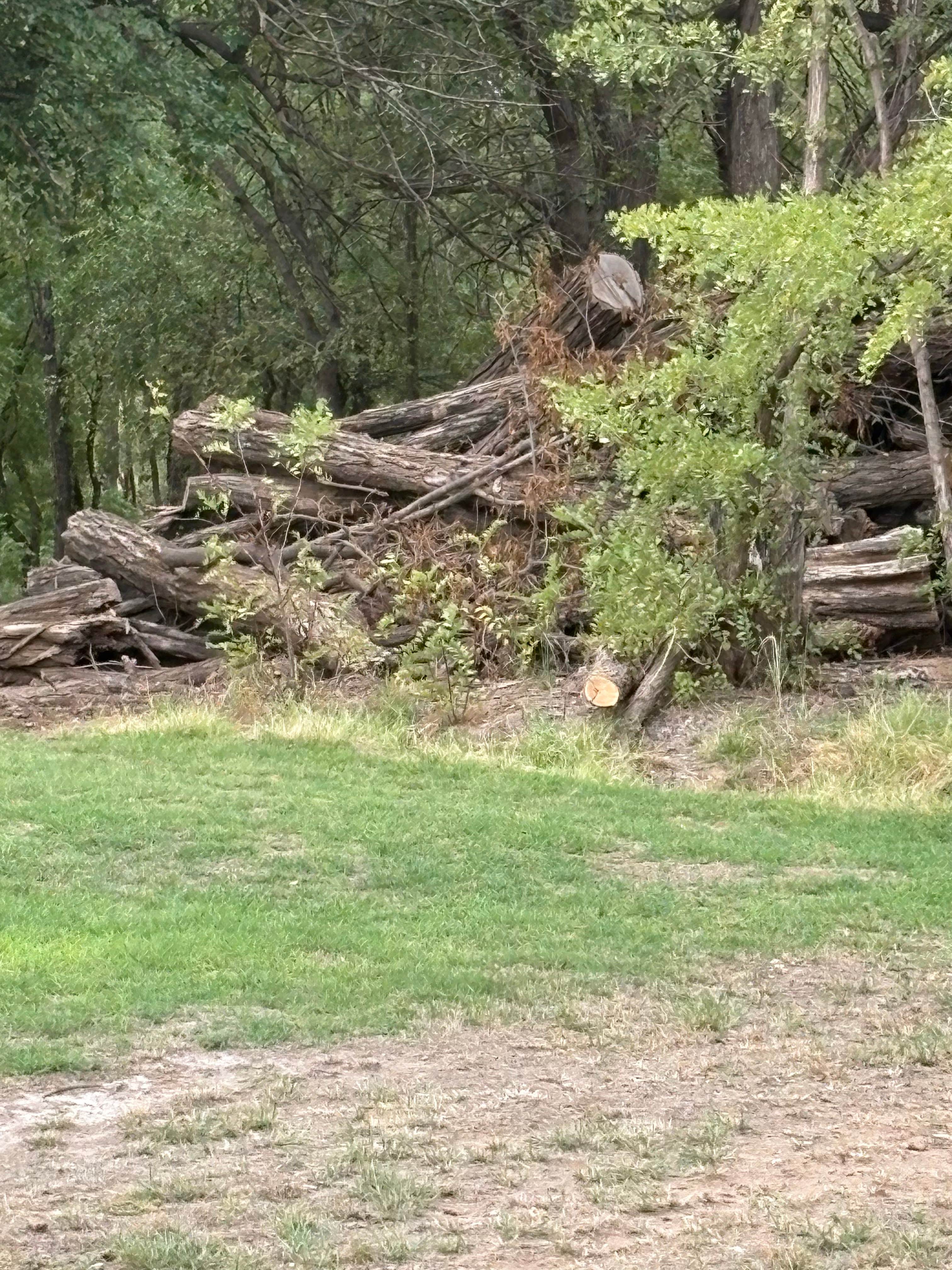 Camper-submitted photo at Spring Creek Campground near Cheyenne, OK