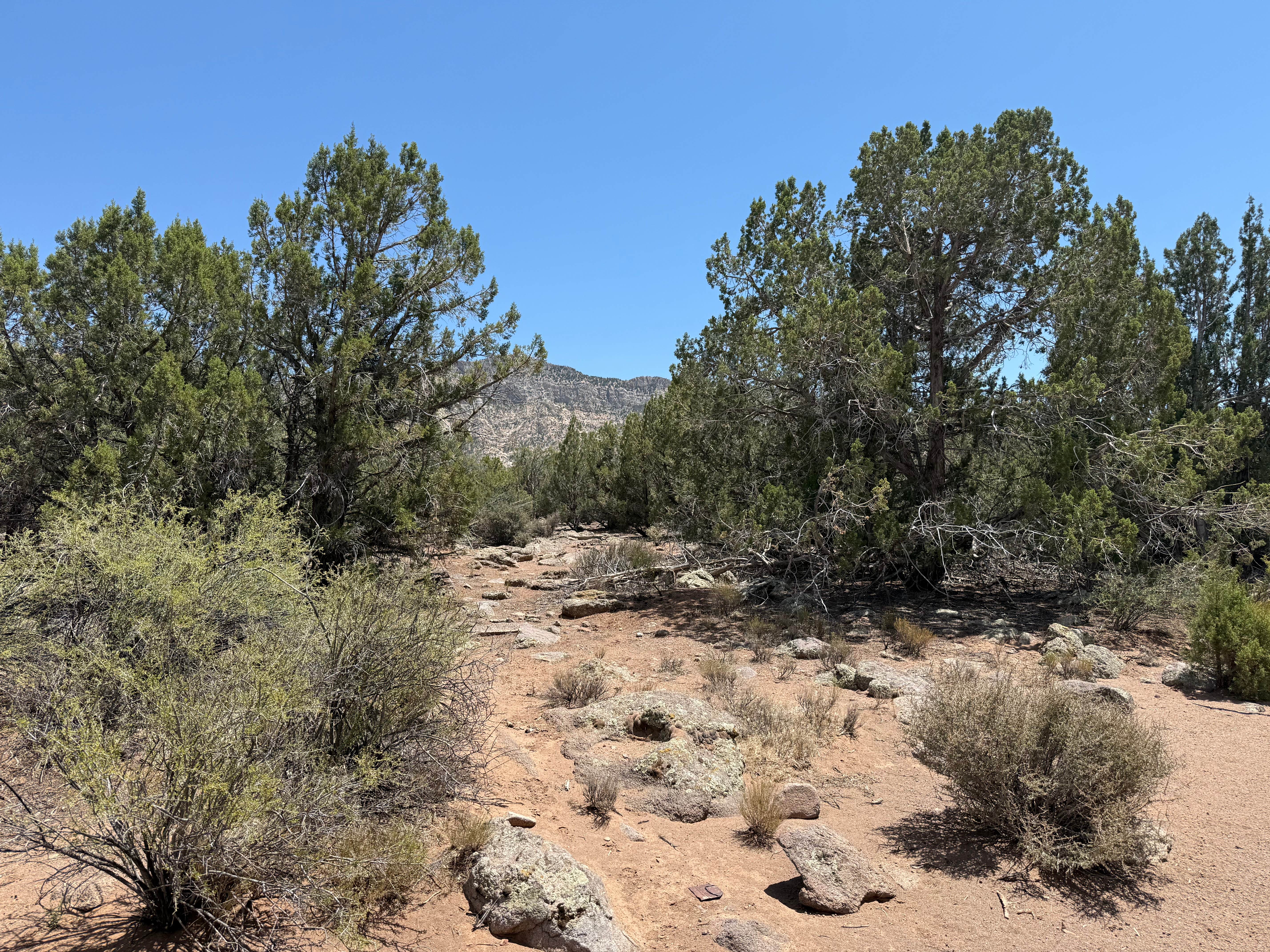 Camping near Toquerville Falls Primitive: Old 91 Dispersed, Toquerville, Utah