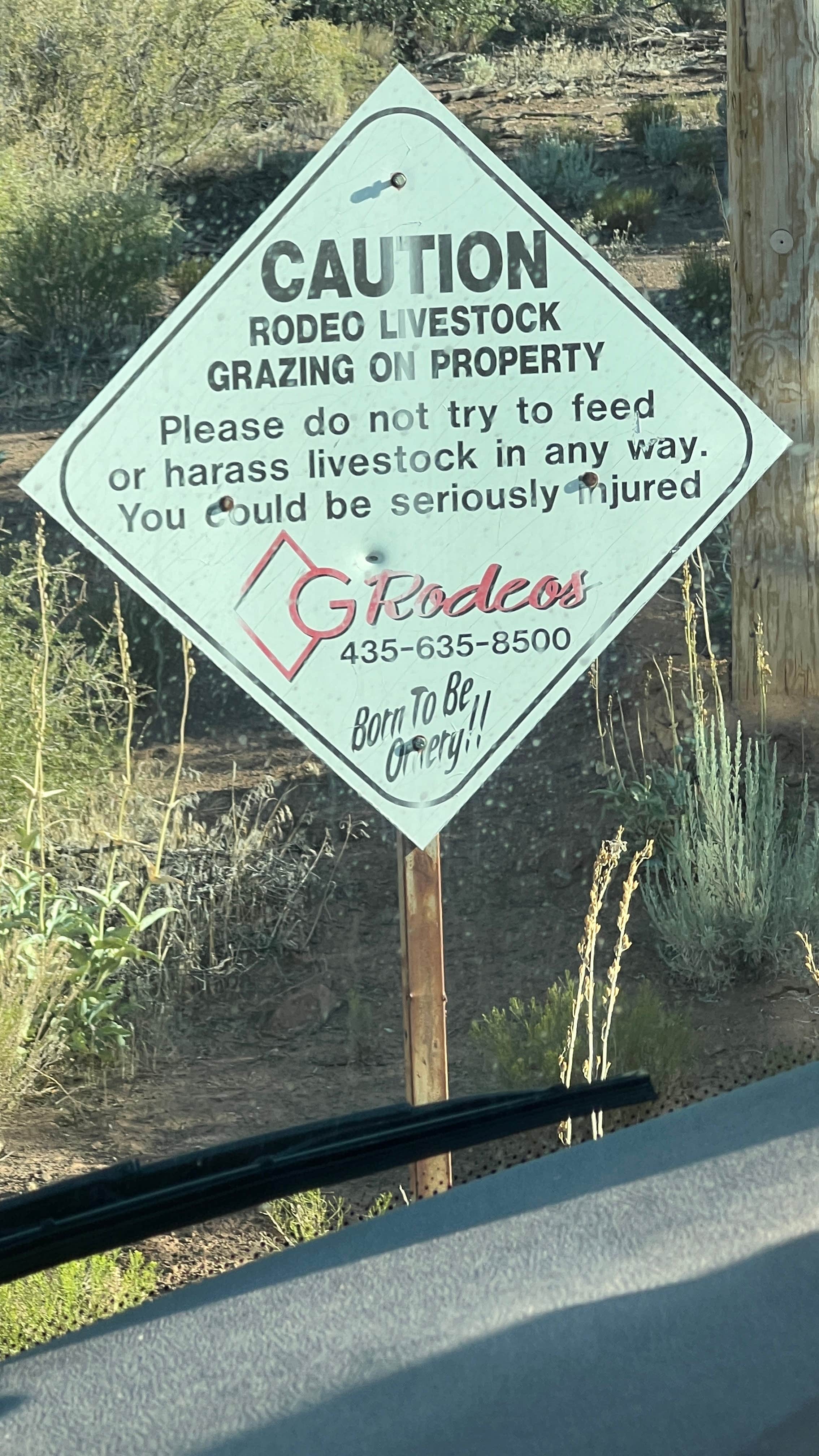 Camper-submitted photo at Old 91 Dispersed near Central, UT