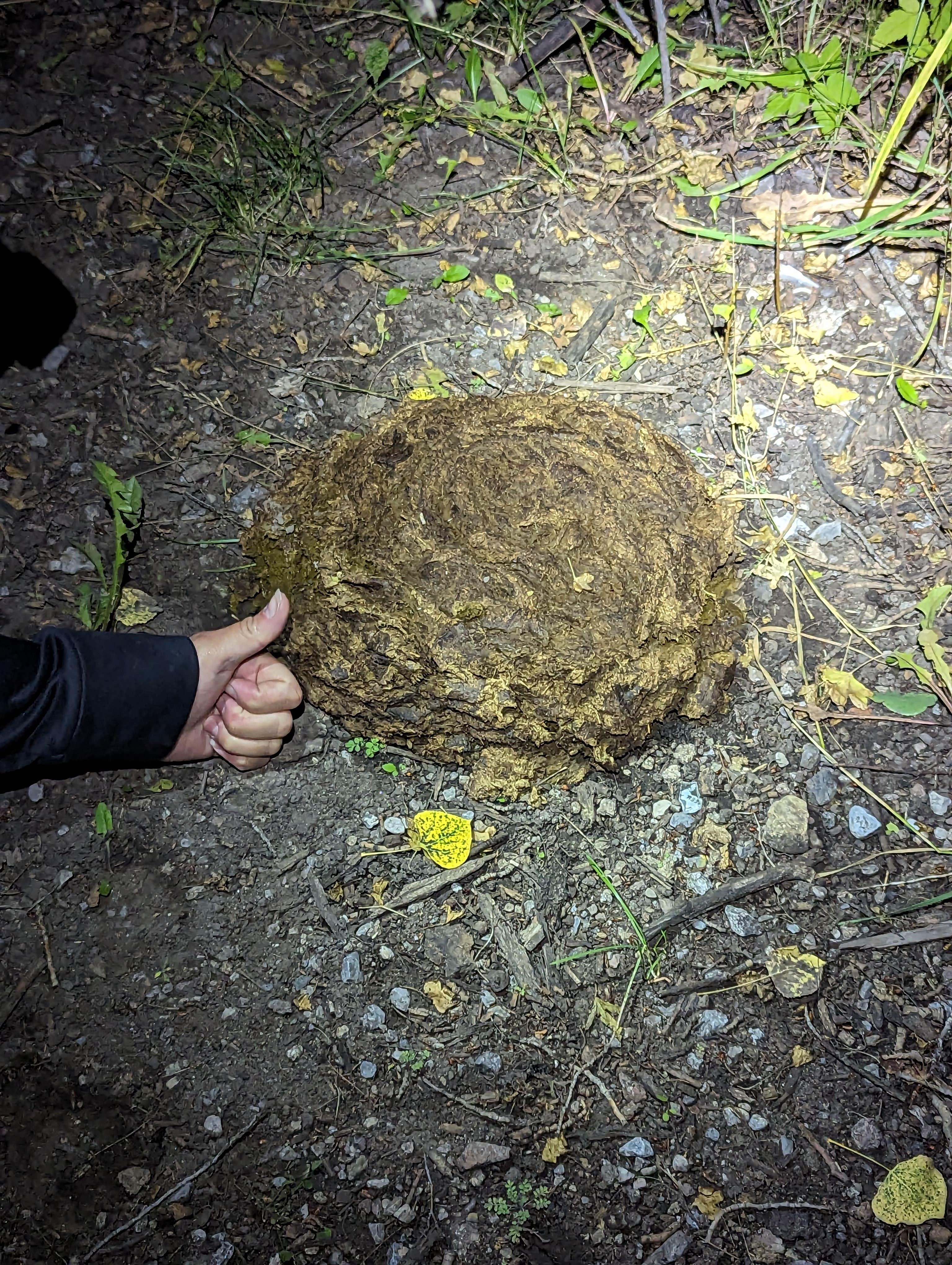 Camping near Timber Creek Campground: Old 93 BLM - Dispersed Camping, Ely, Nevada