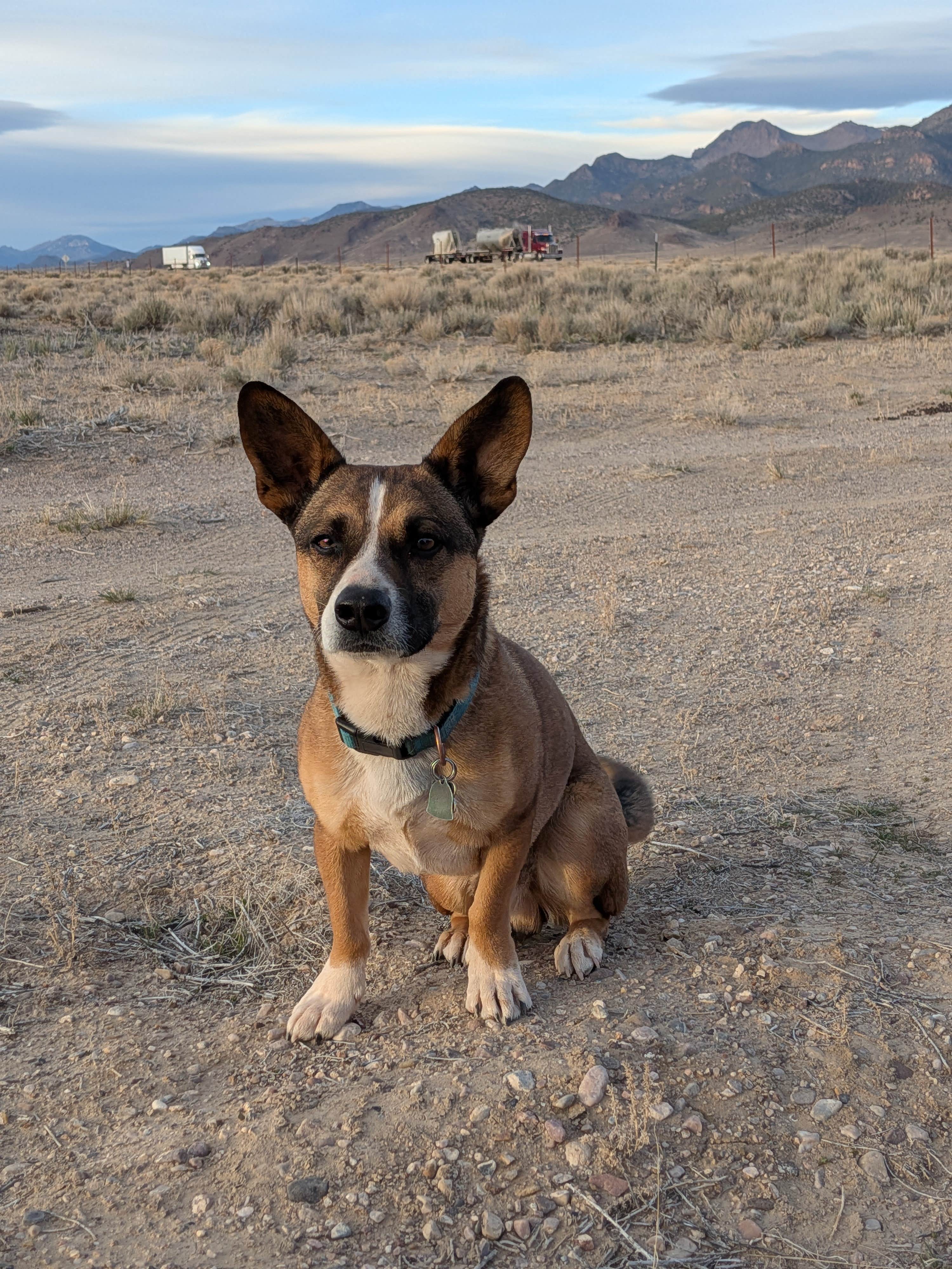 Camper-submitted photo at Old 93 BLM - Dispersed Camping near Ely, NV