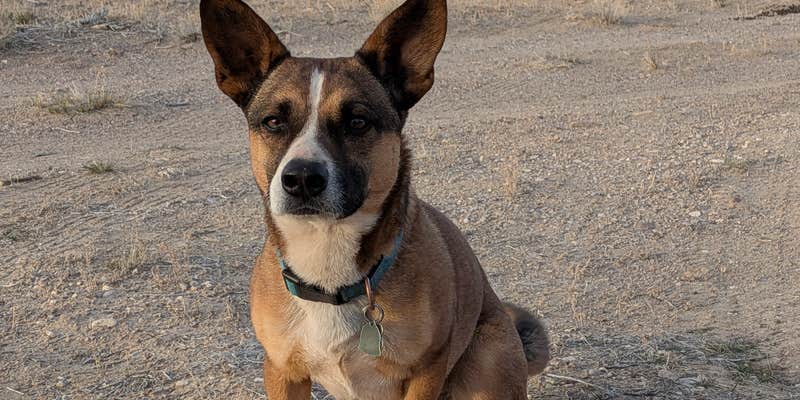 Camper submitted image from Old 93 BLM - Dispersed Camping