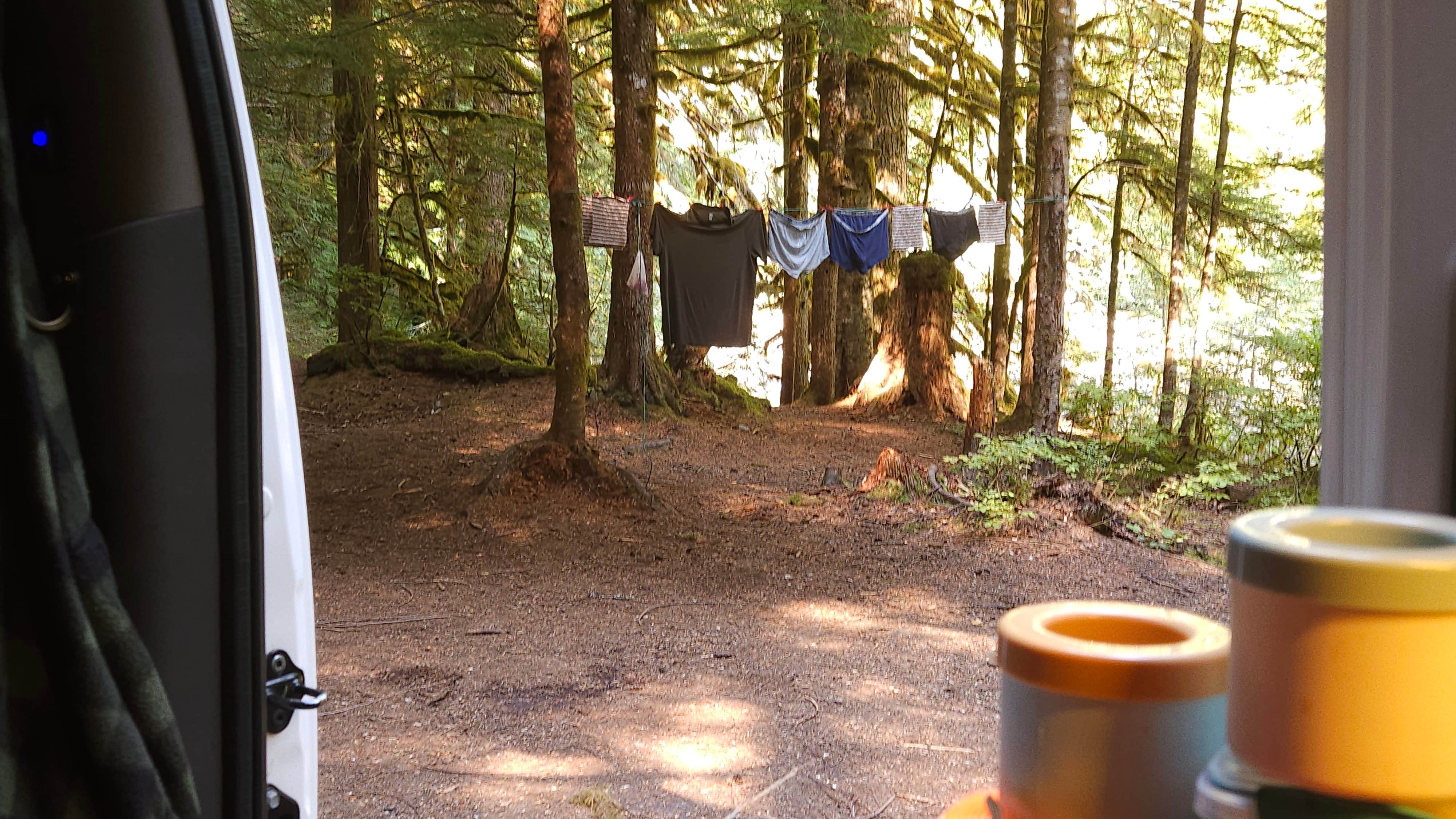 Camper submitted image from Old Cascades Highway Dispersed - 1