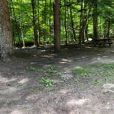 Review photo of Old Forge Camping Resort by Ryan M., July 9, 2025