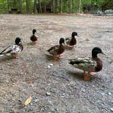 Review photo of Old Forge Camping Resort by Leighla S., July 16, 2026