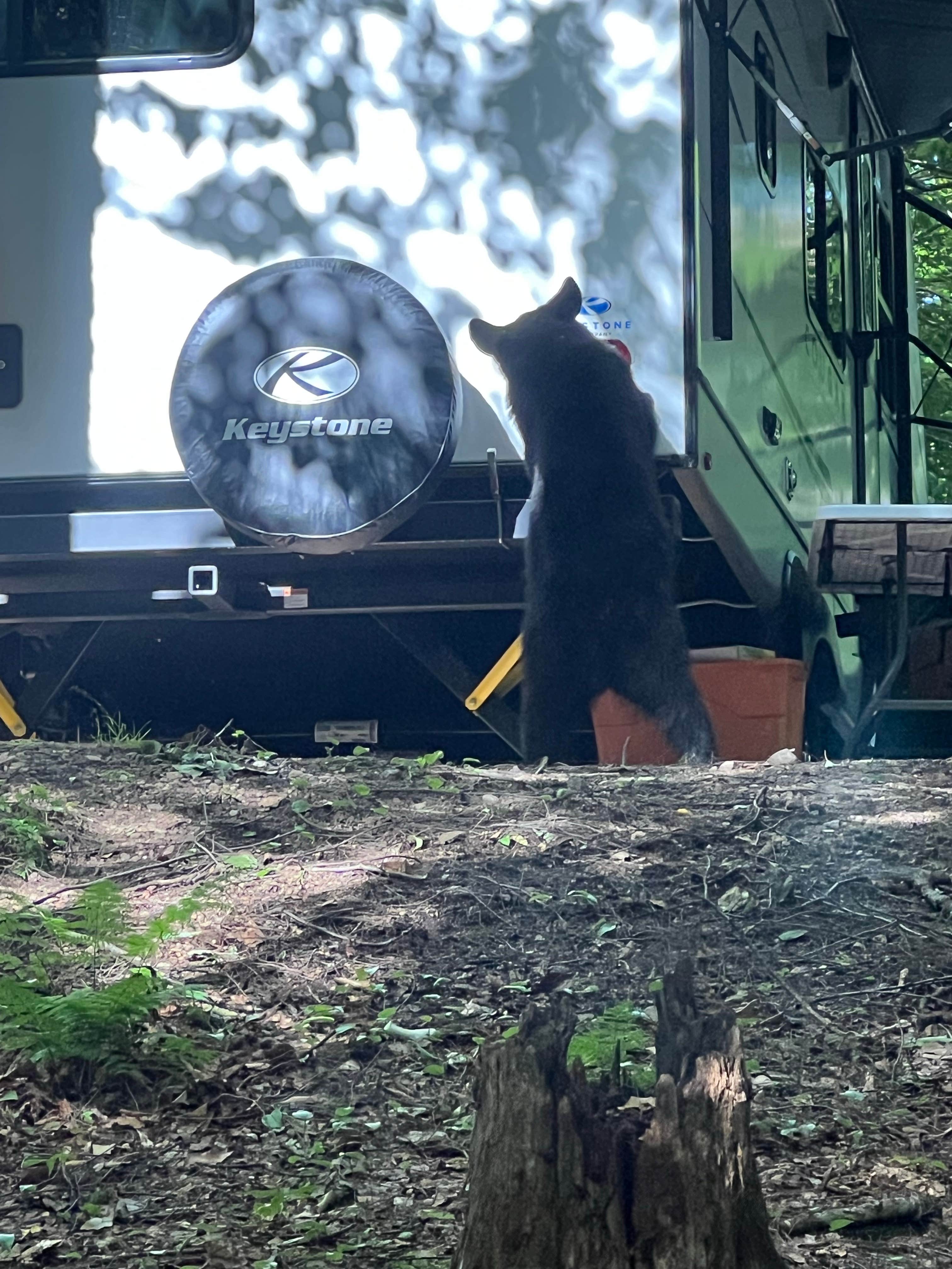 Ryan M.'s photo of camping with pets at Old Forge Camping Resort near Boonville, NY