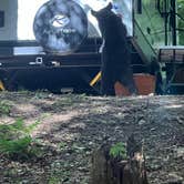 Review photo of Old Forge Camping Resort by Ryan M., July 9, 2025