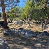 Review photo of Old Gold Ledge by Vidalia S., March 22, 2026