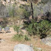 Review photo of Old Gold Ledge by Vidalia S., March 22, 2026