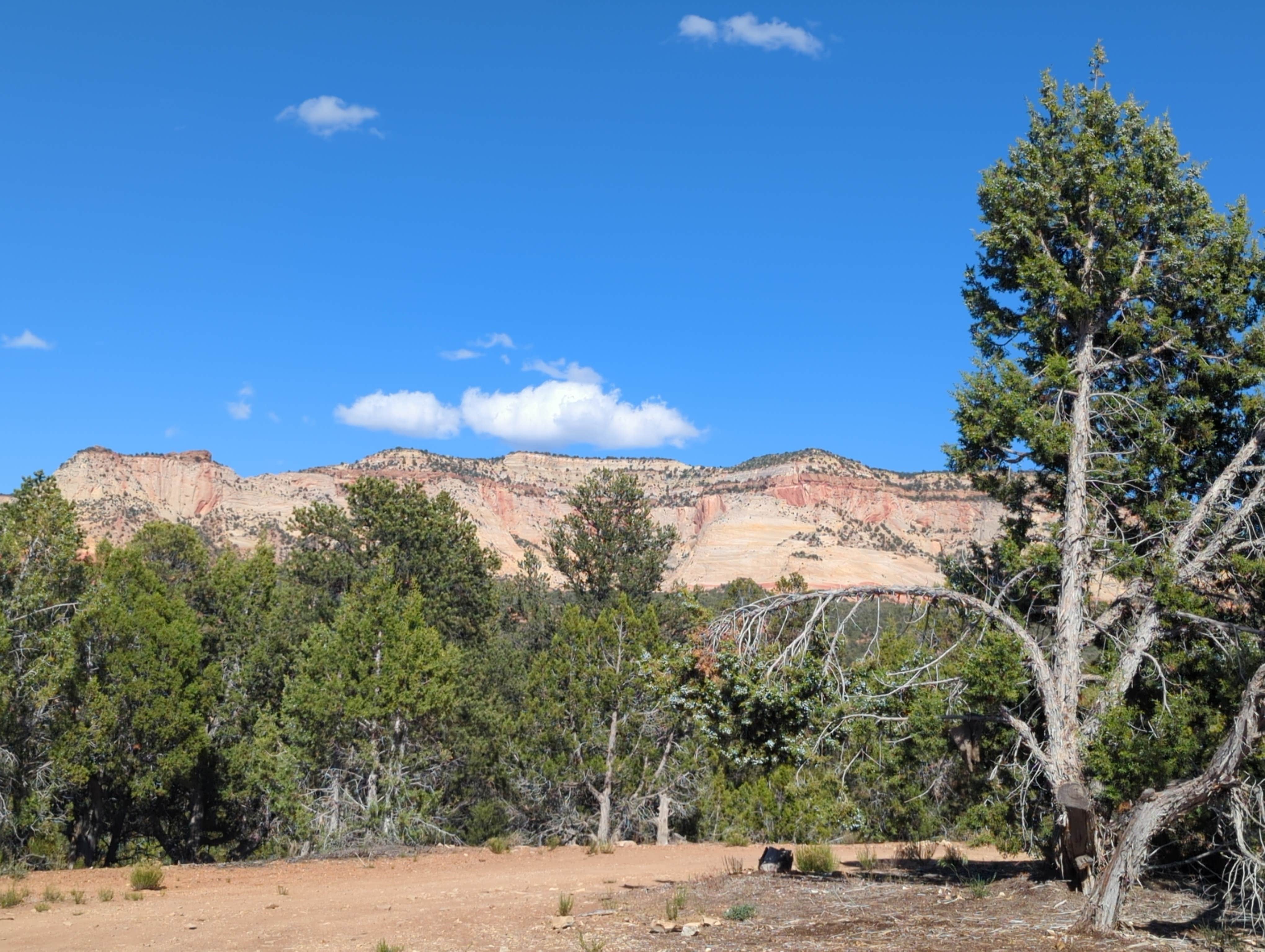 Camper-submitted photo at Old Highway 89 Dispersed BLM Site near Orderville, UT