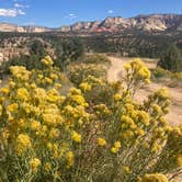 Review photo of Old Highway 89 Dispersed BLM Site by Kandi M., October 17, 2023