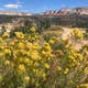 Old Highway 89 Dispersed BLM Site
