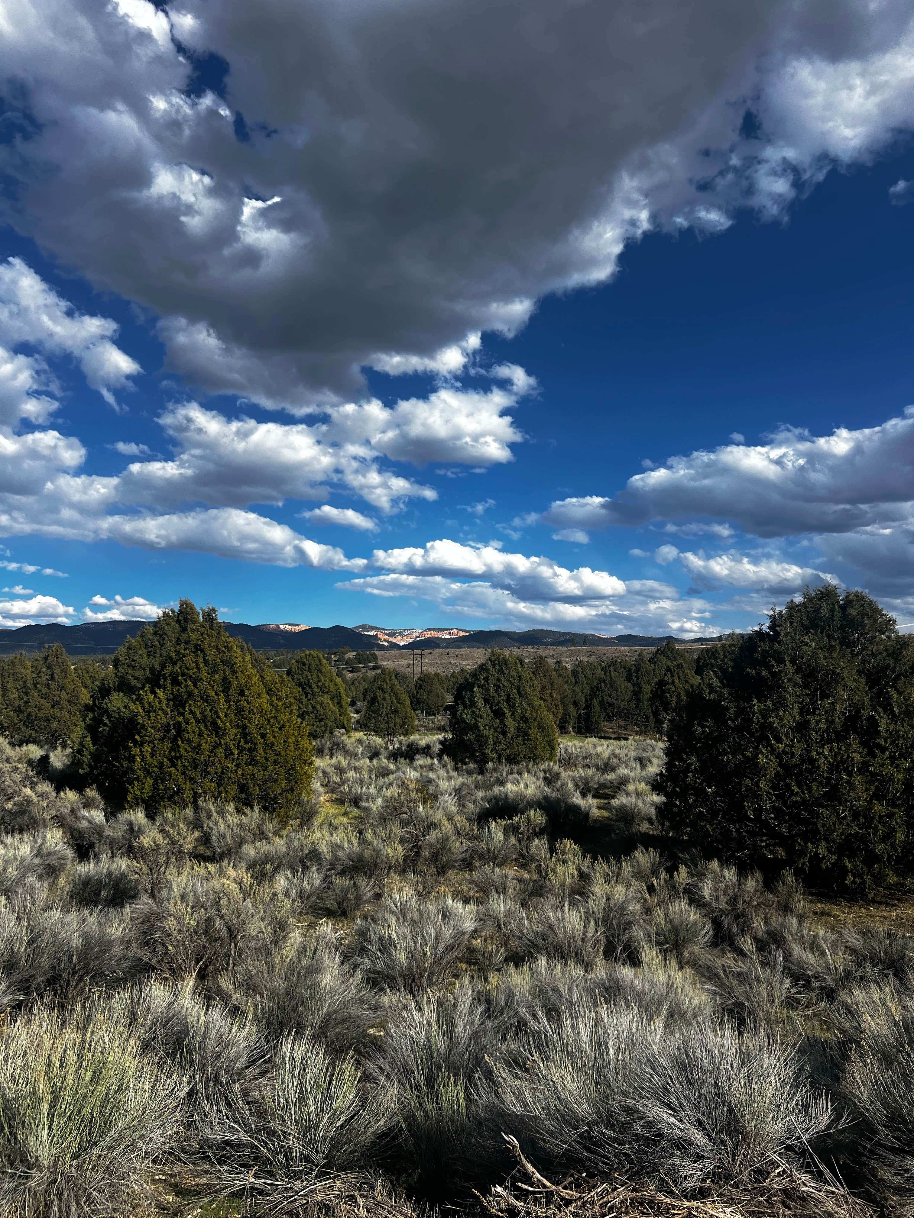 Camping near Mountain Ridge Cabins and Lodging: Old Highway 89 Dispersed Riverside, Dixie National Forest, Utah