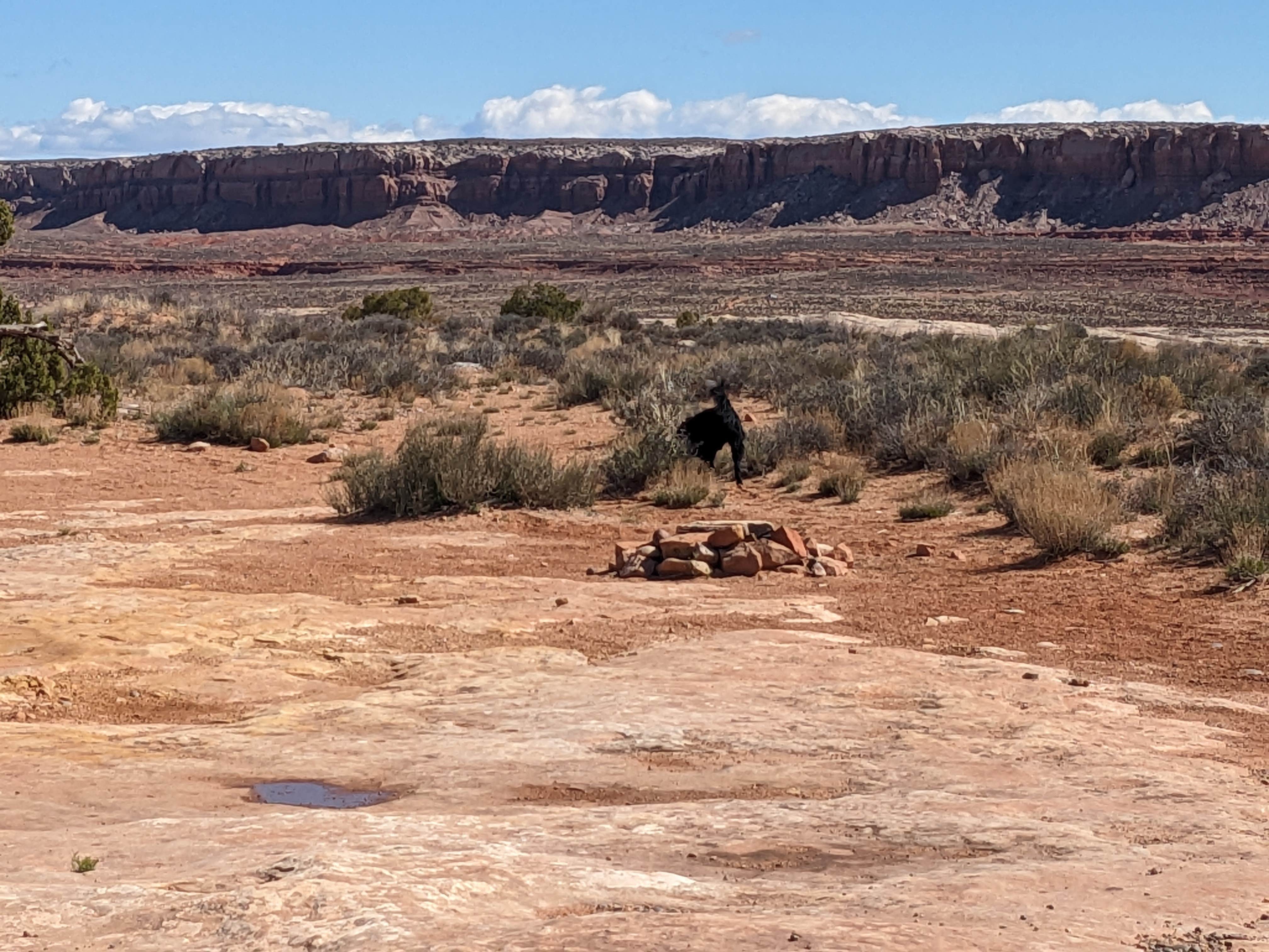 Camper-submitted photo at Old Hwy 163 Dispersed near Mexican Hat, UT