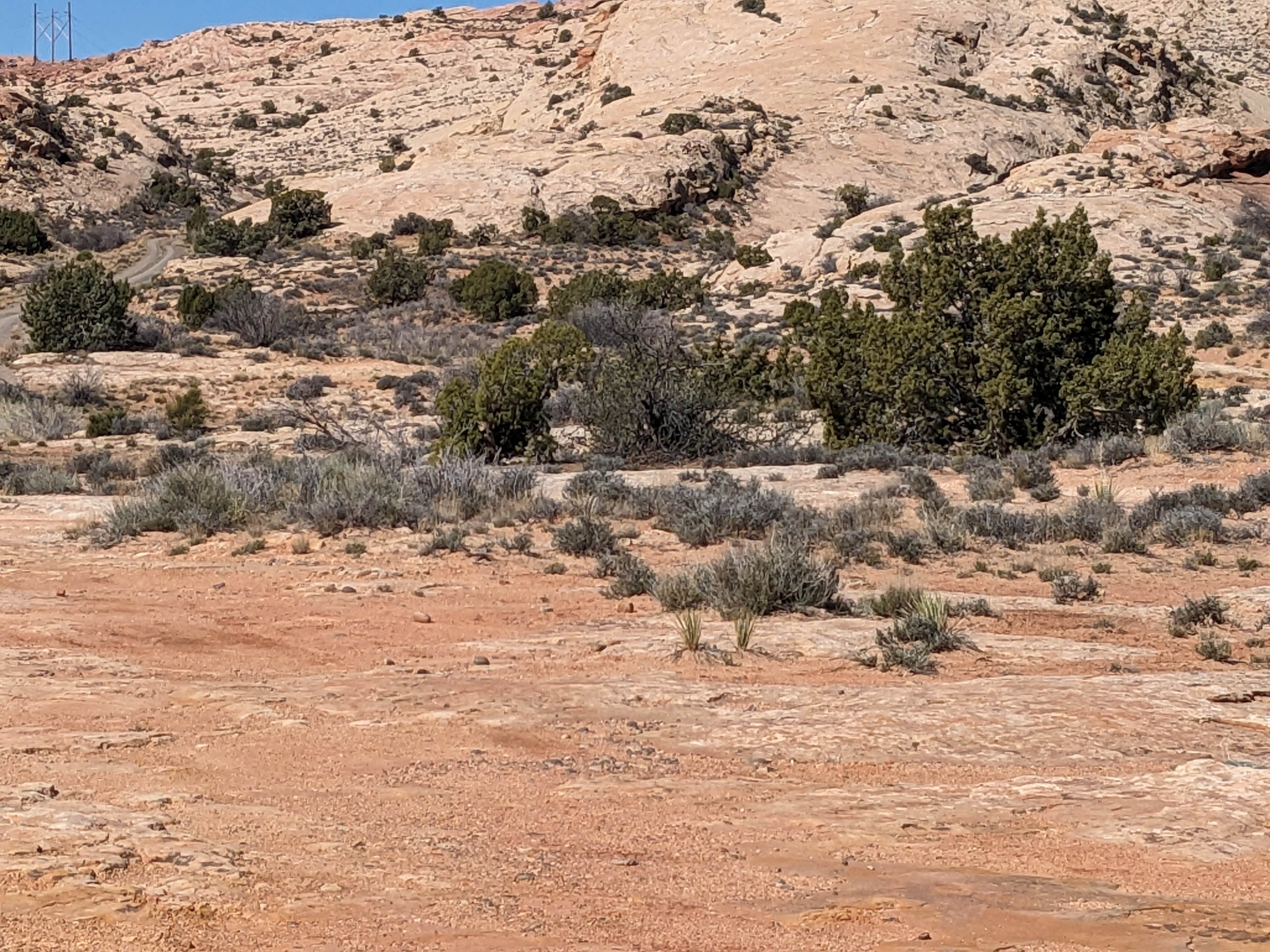 Camper-submitted photo at Old Hwy 163 Dispersed near Mexican Hat, UT