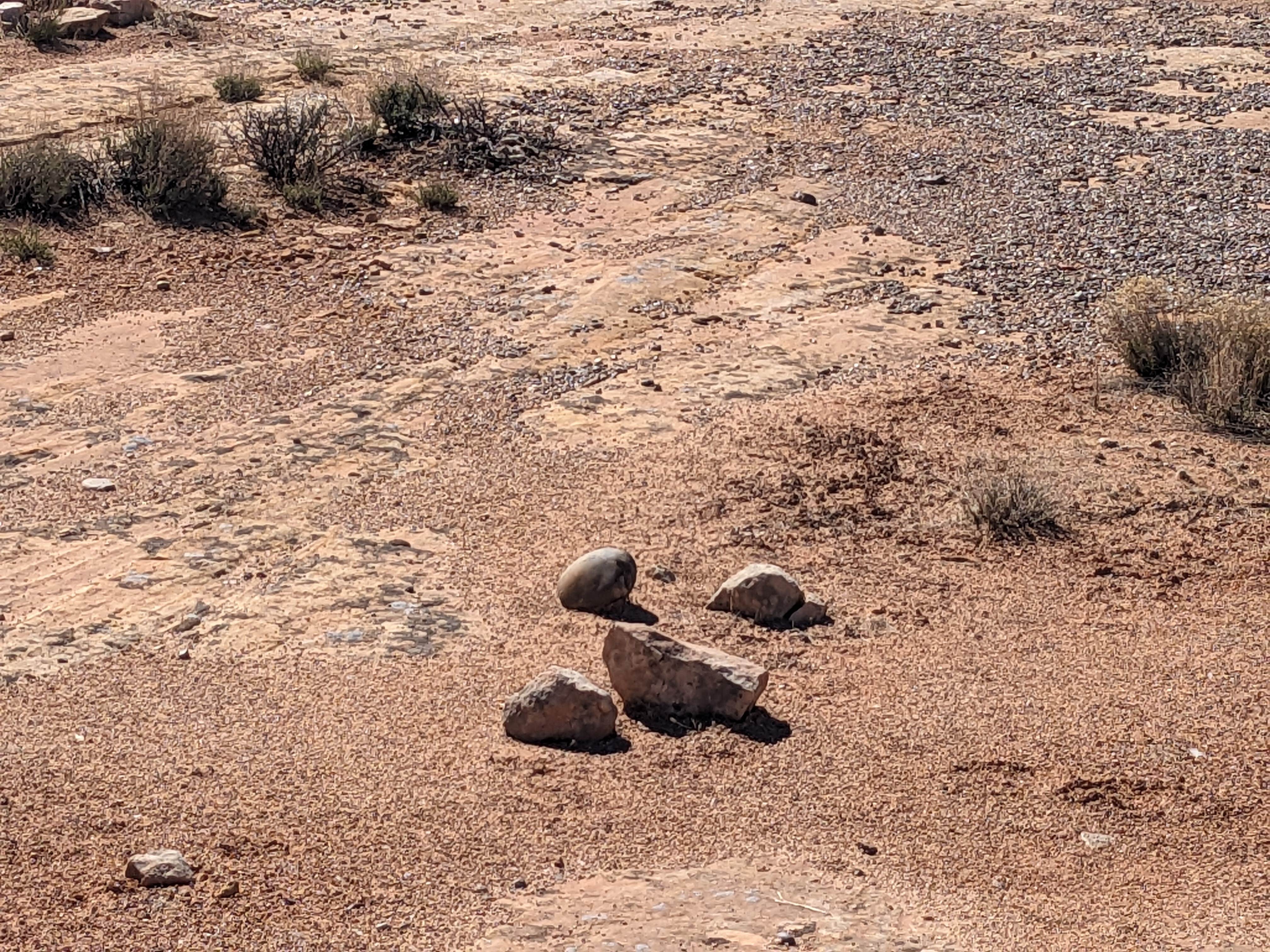 Camper-submitted photo at Old Hwy 163 Dispersed near Mexican Hat, UT
