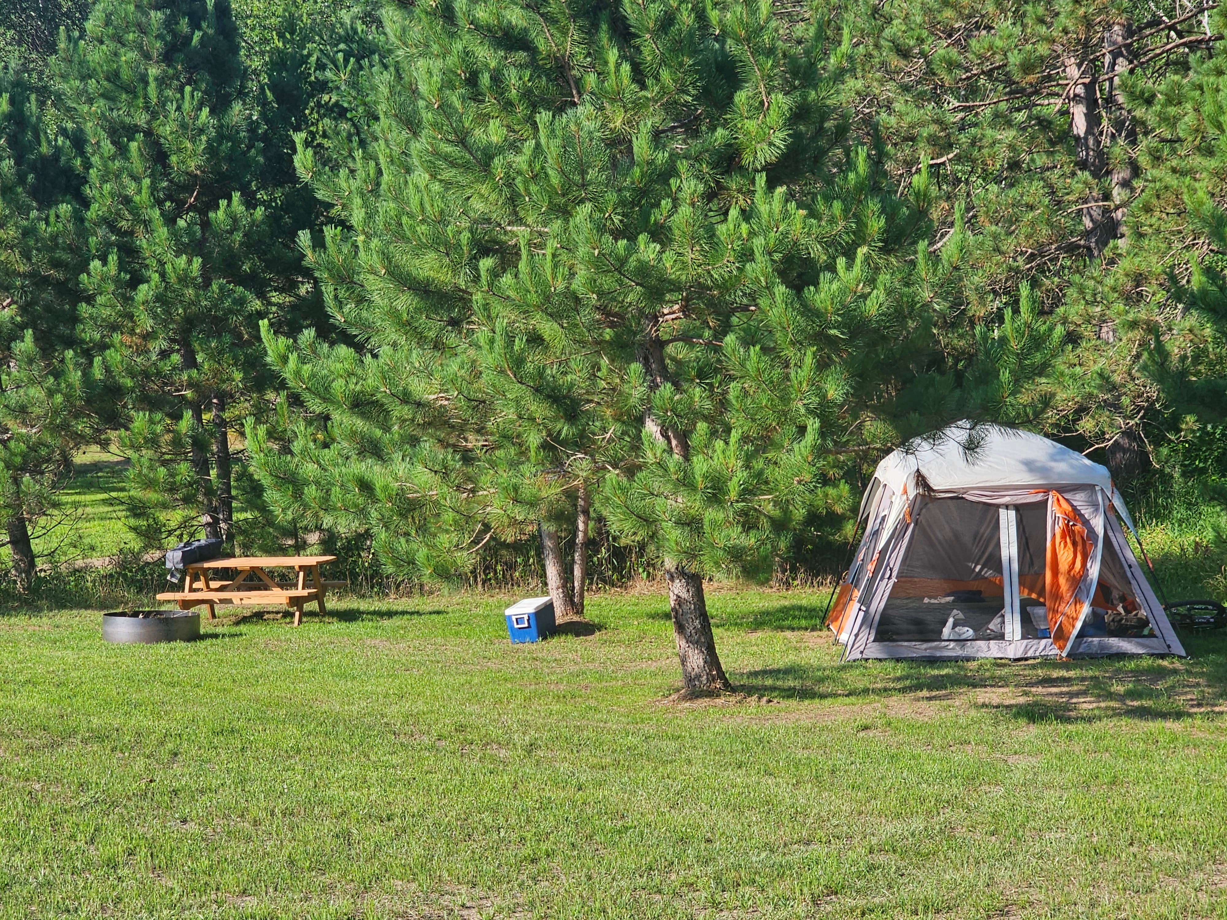 Shelly T.'s photo at Old Iron Camp near Pequot Lakes, MN