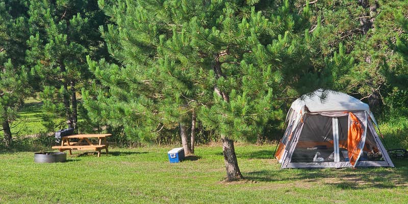 Camper submitted image from Old Iron Camp