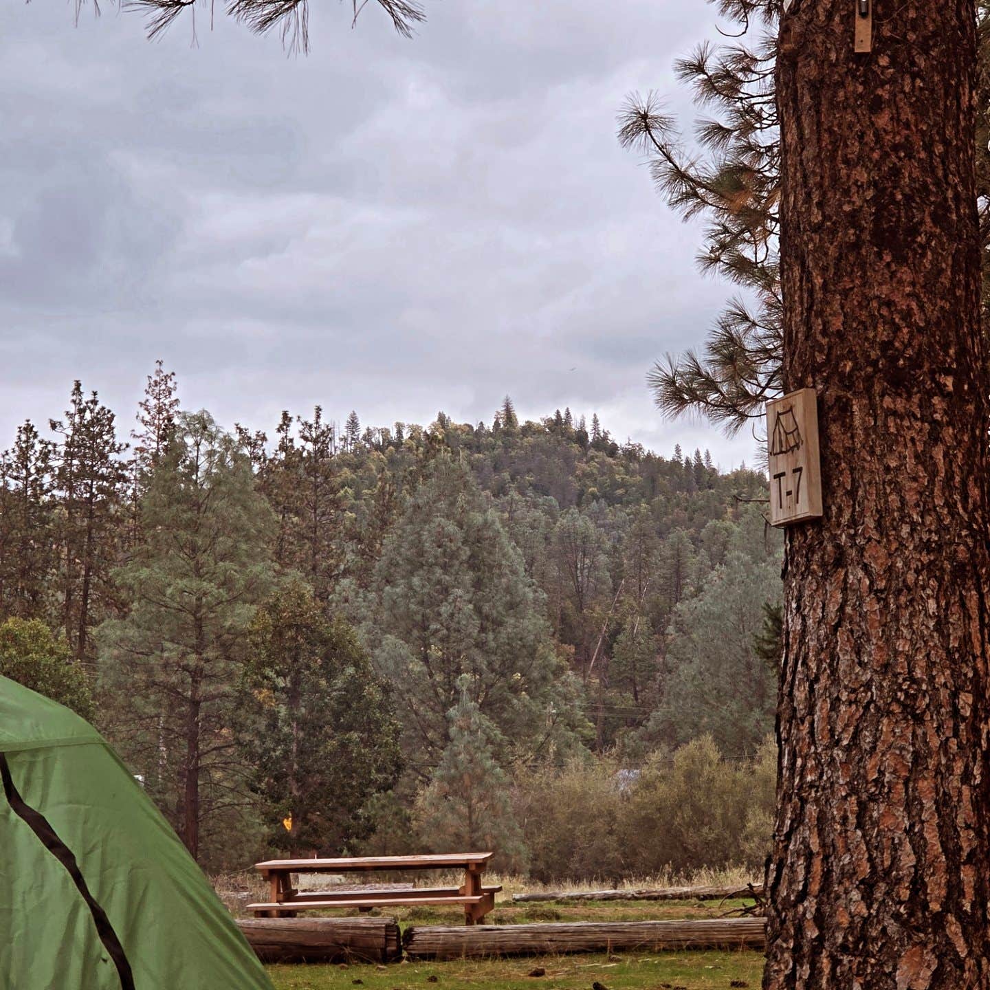Camper-submitted photo at Old Lewiston Bridge RV Resort near Hayfork, CA