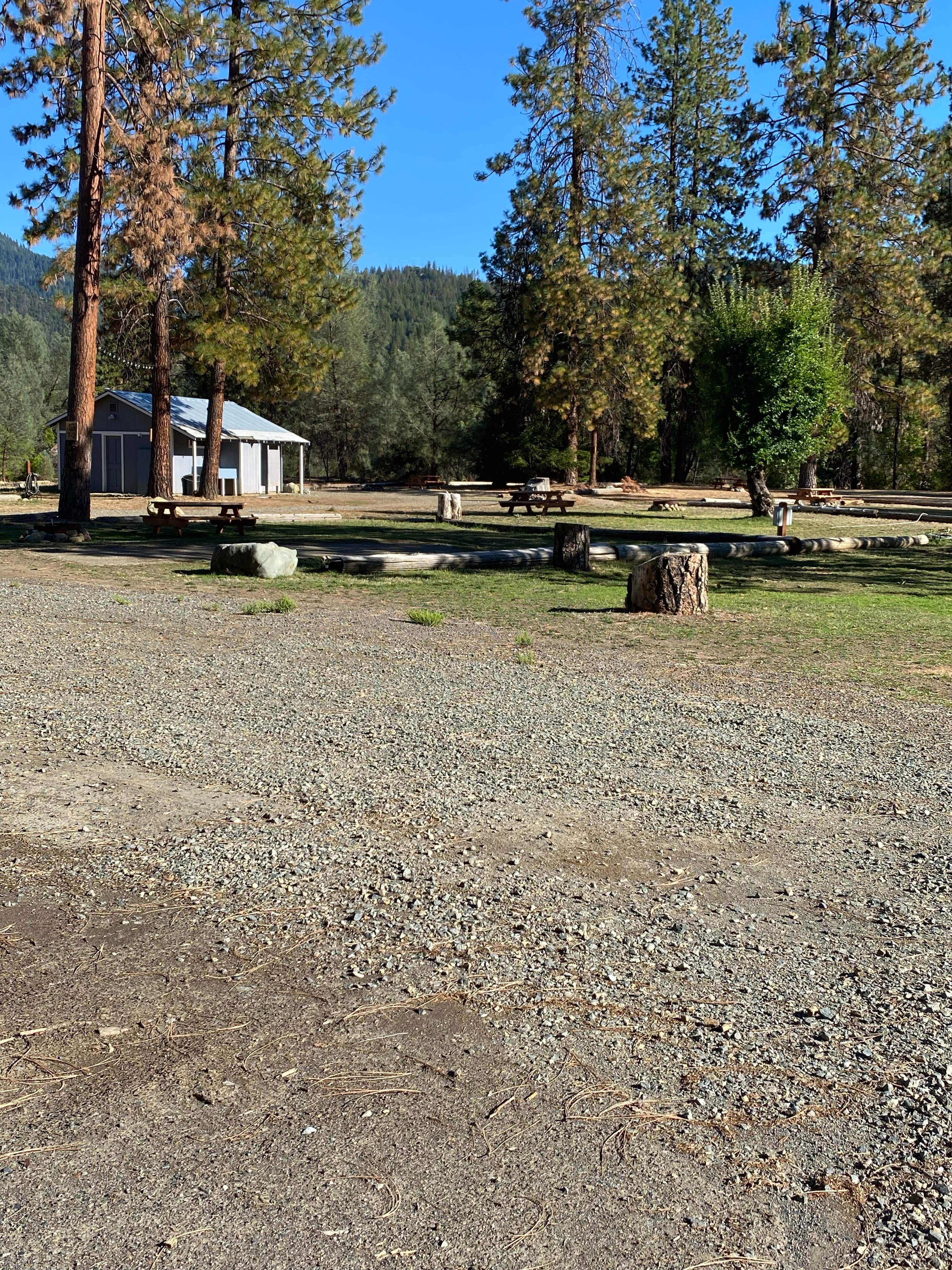 Tara D.'s photo of camping with pets at Old Lewiston Bridge RV Resort near Redding, CA