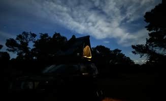 Shane W.'s photo at Old Midland 376A Dispersed near Buena Vista, CO