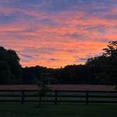 Review photo of Old Mill Camp and General Store by Erin M., May 26, 2024