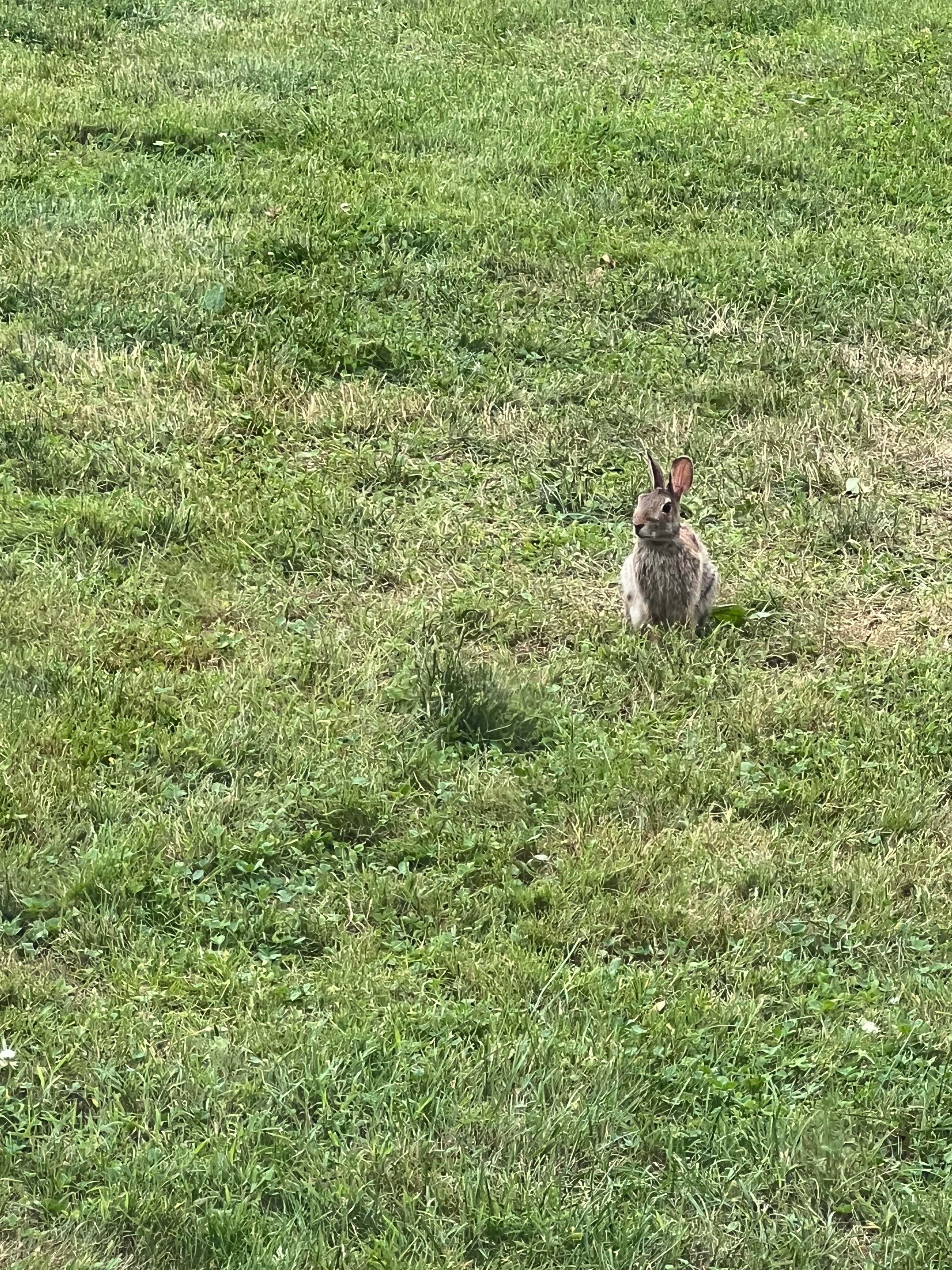 Camper-submitted photo at Old Mill Stream Campground near Stewartstown, PA