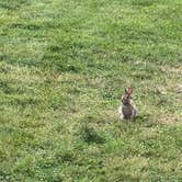 Review photo of Old Mill Stream Campground by Randall K., June 3, 2024