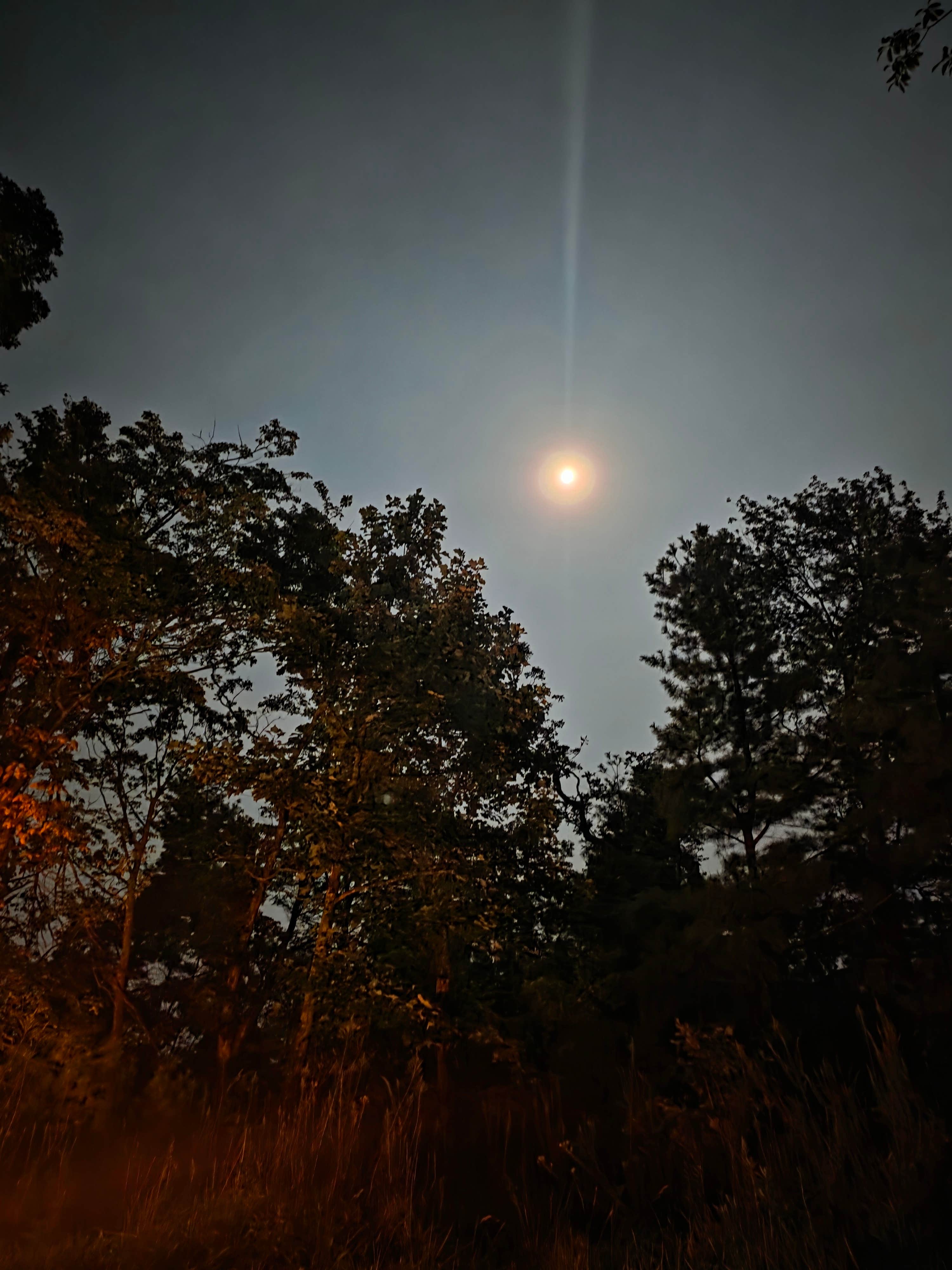 Camper-submitted photo at Old NC 105 Dispersed near Linville Falls, NC