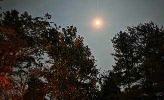 Jonathan C.'s photo of a dispersed camping area at Old NC 105 Dispersed in North Carolina