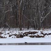 Review photo of Old Railroad Bridge by Corinna Y., February 20, 2026