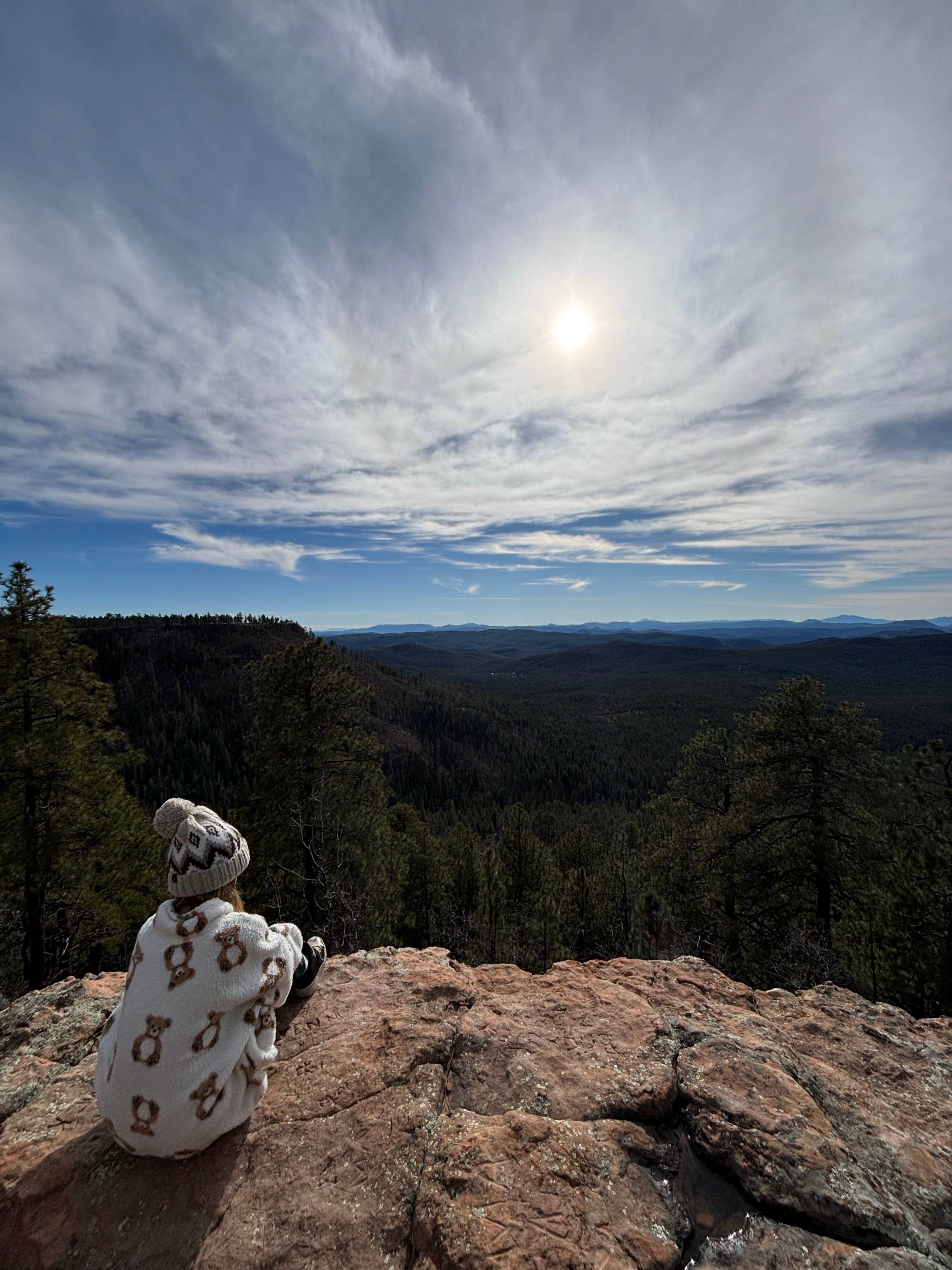 Old Rim Road/ Forest Road 171 Dispersed