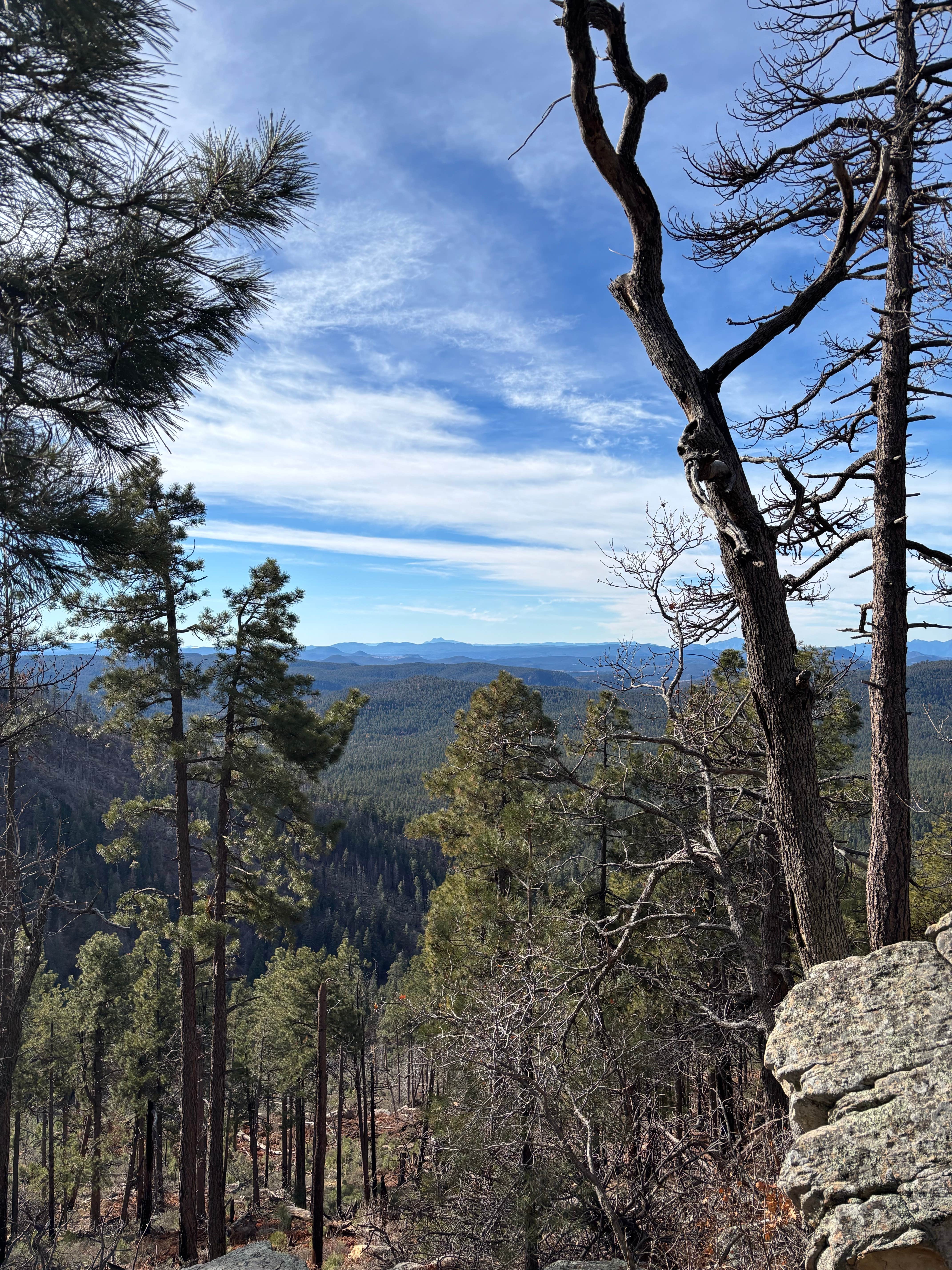 Camper-submitted photo at Old Rim Road/ Forest Road 171 Dispersed near Heber-Overgaard, AZ