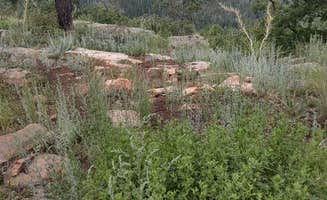 Patrick C.'s photo of camping with pets at Old Rim Road/ Forest Road 171 Dispersed near Forest Lakes, AZ