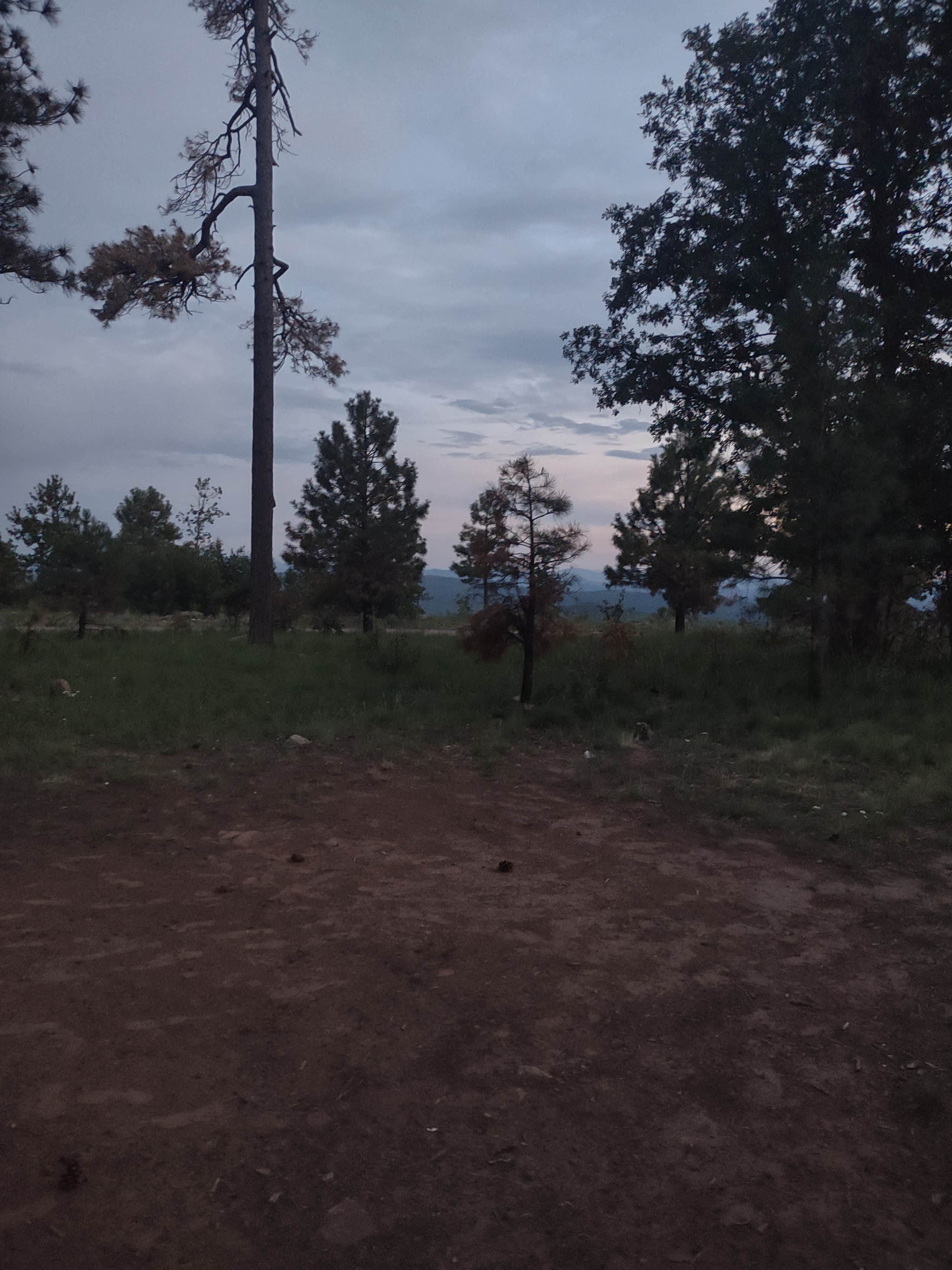 Camper-submitted photo at Old Rim Road/ Forest Road 171 Dispersed near Young, AZ