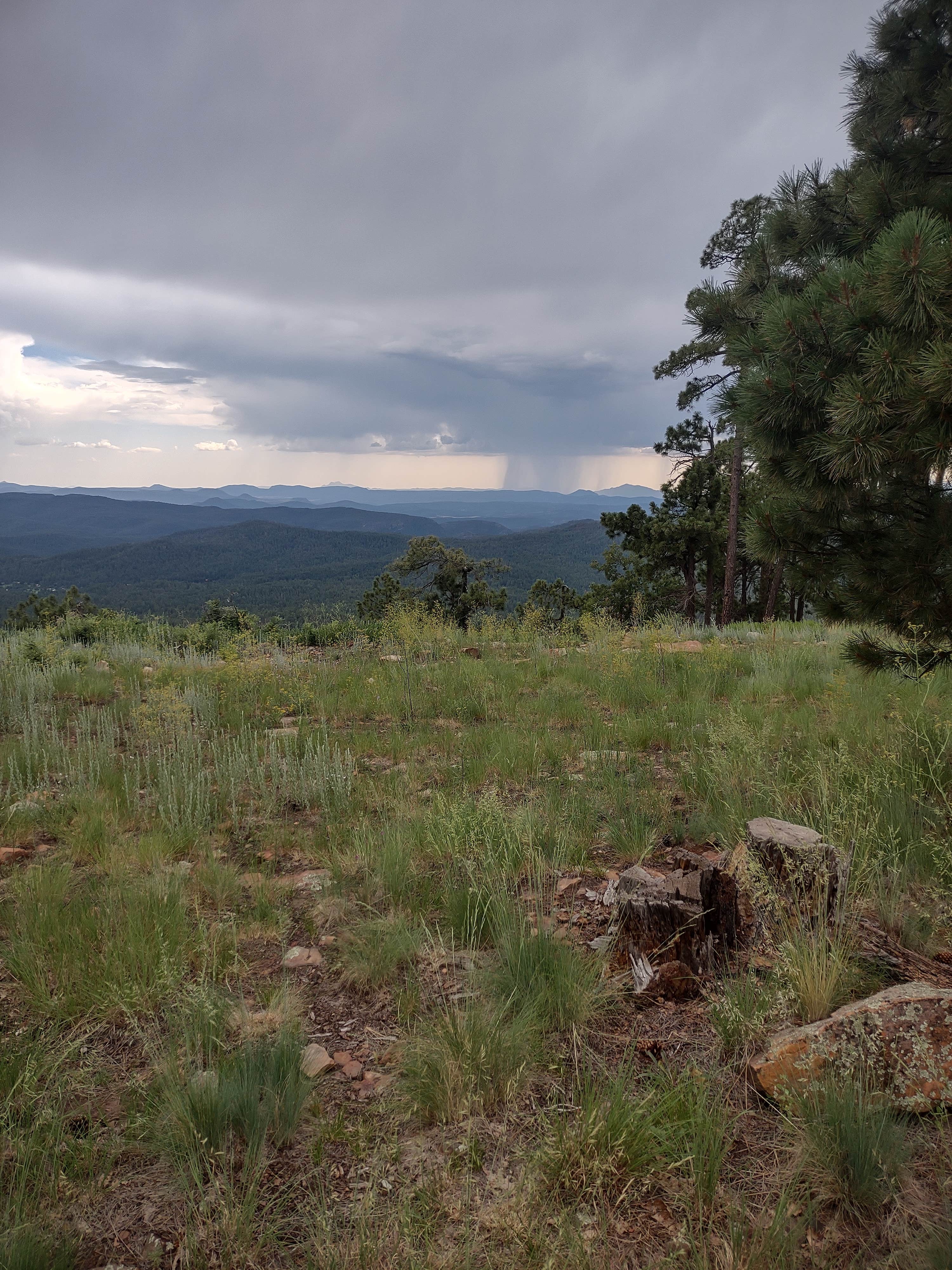 Camper-submitted photo at Old Rim Road/ Forest Road 171 Dispersed near Young, AZ