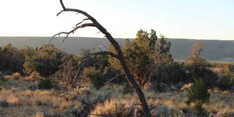 Camper submitted image from Old Route 64