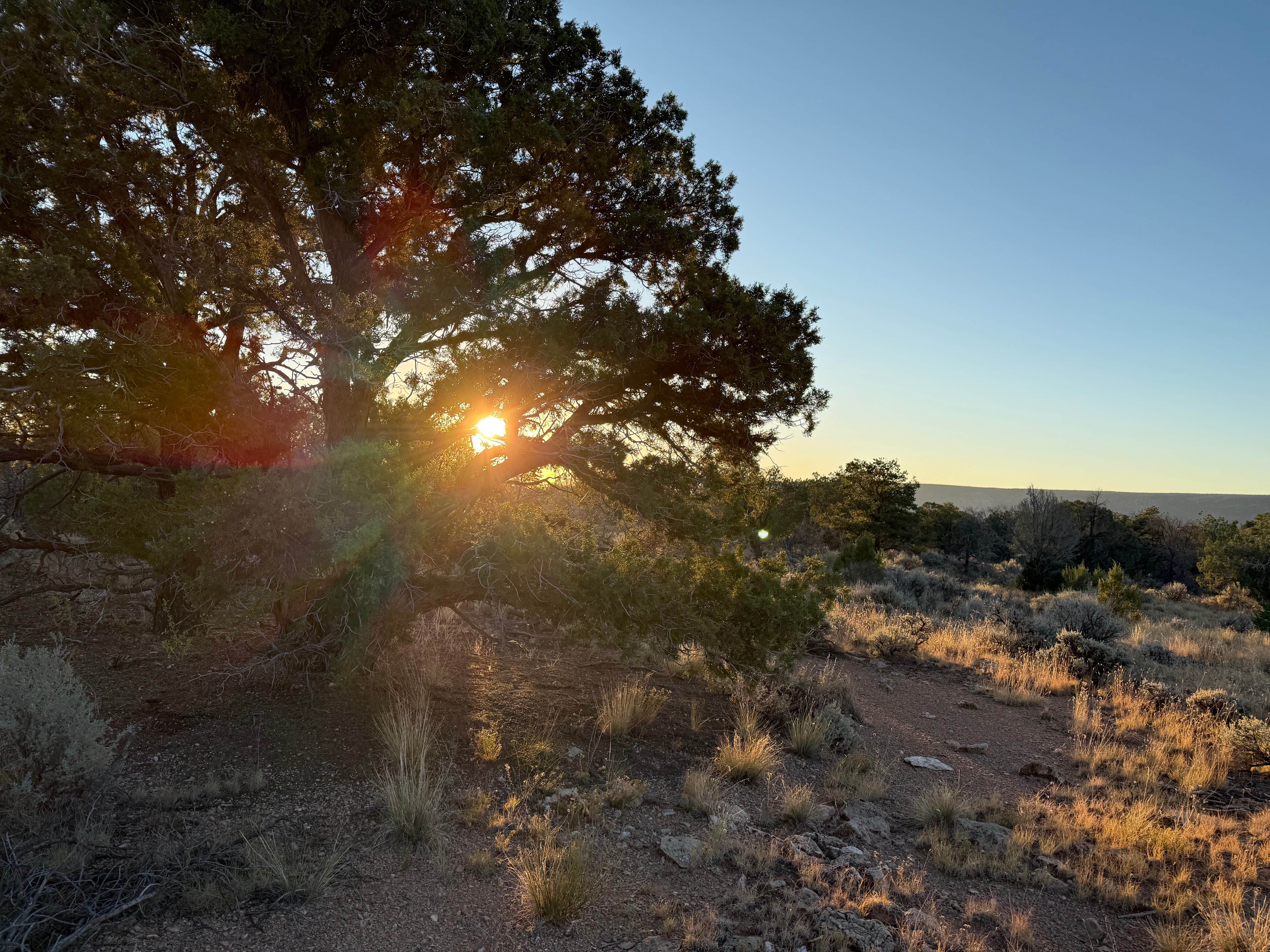 brian K.'s photo of a dispersed camping area at Old Route 64 near Tuba City, AZ