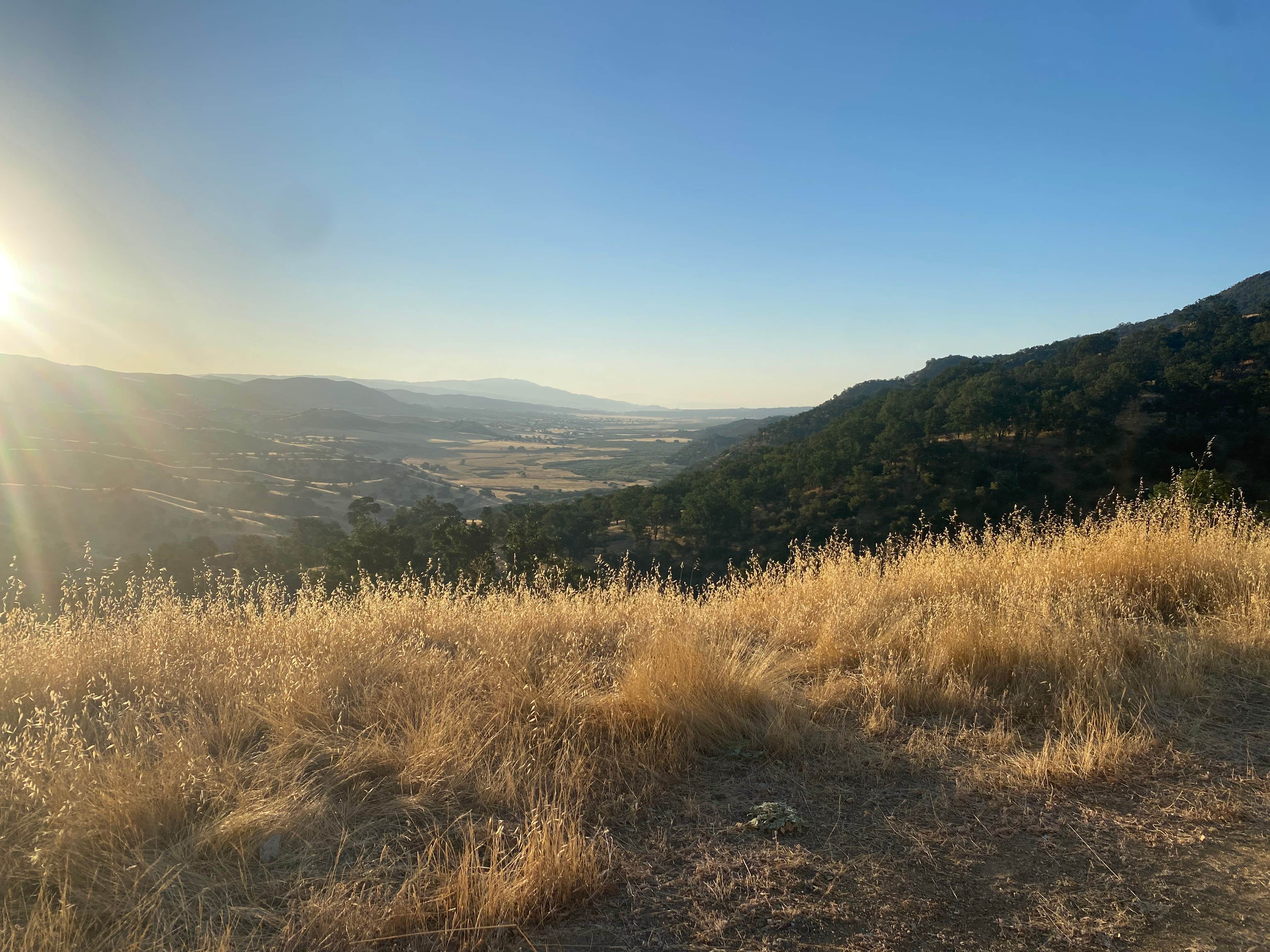 Elyse B.'s photo of a dispersed camping area at Old Sierra Madre near Carrizo Plain National Monument