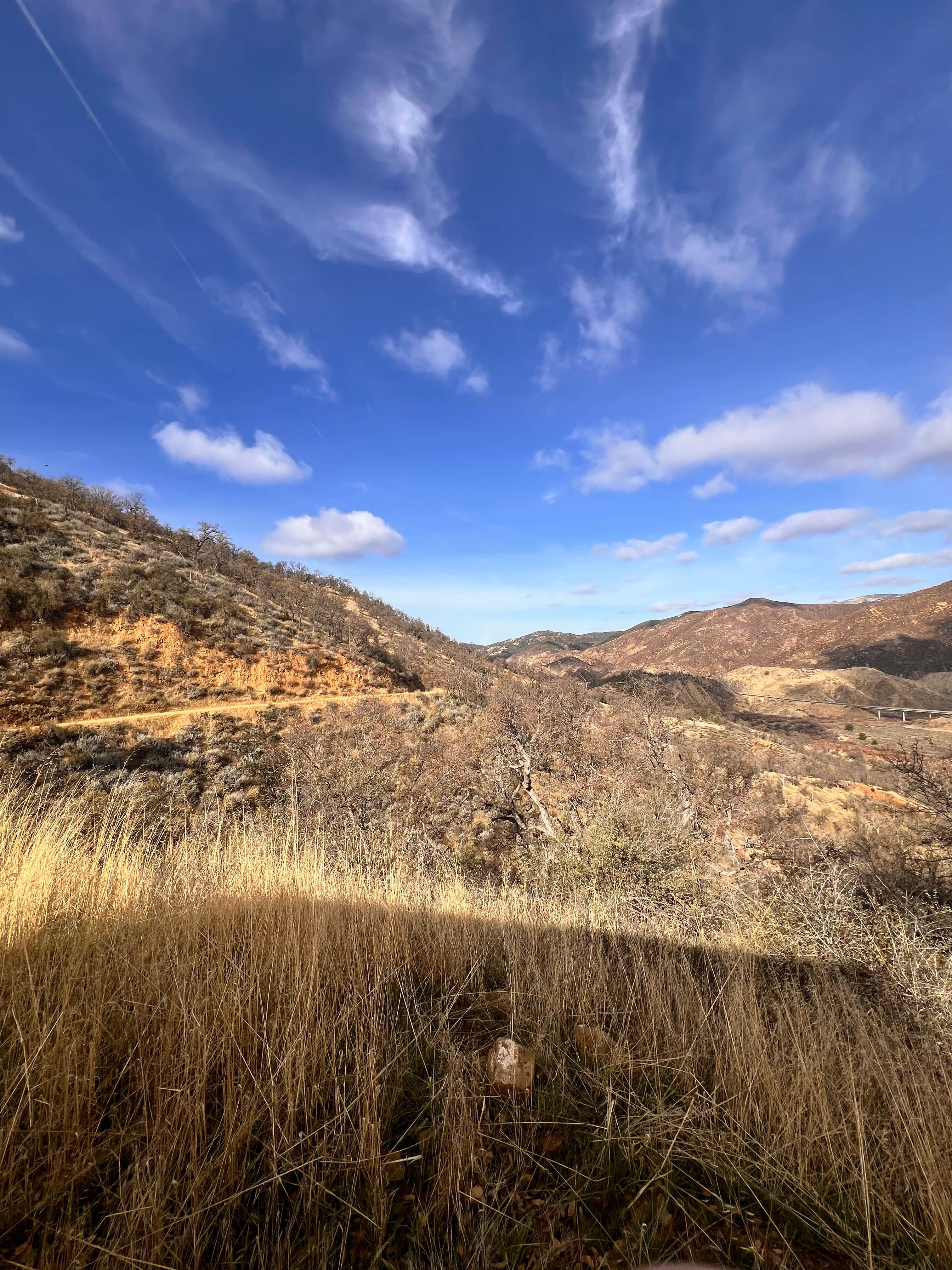 Camper-submitted photo at Old Sierra Madre near Carrizo Plain National Monument