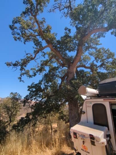 Camper-submitted photo at Old Sierra Madre near Carrizo Plain National Monument