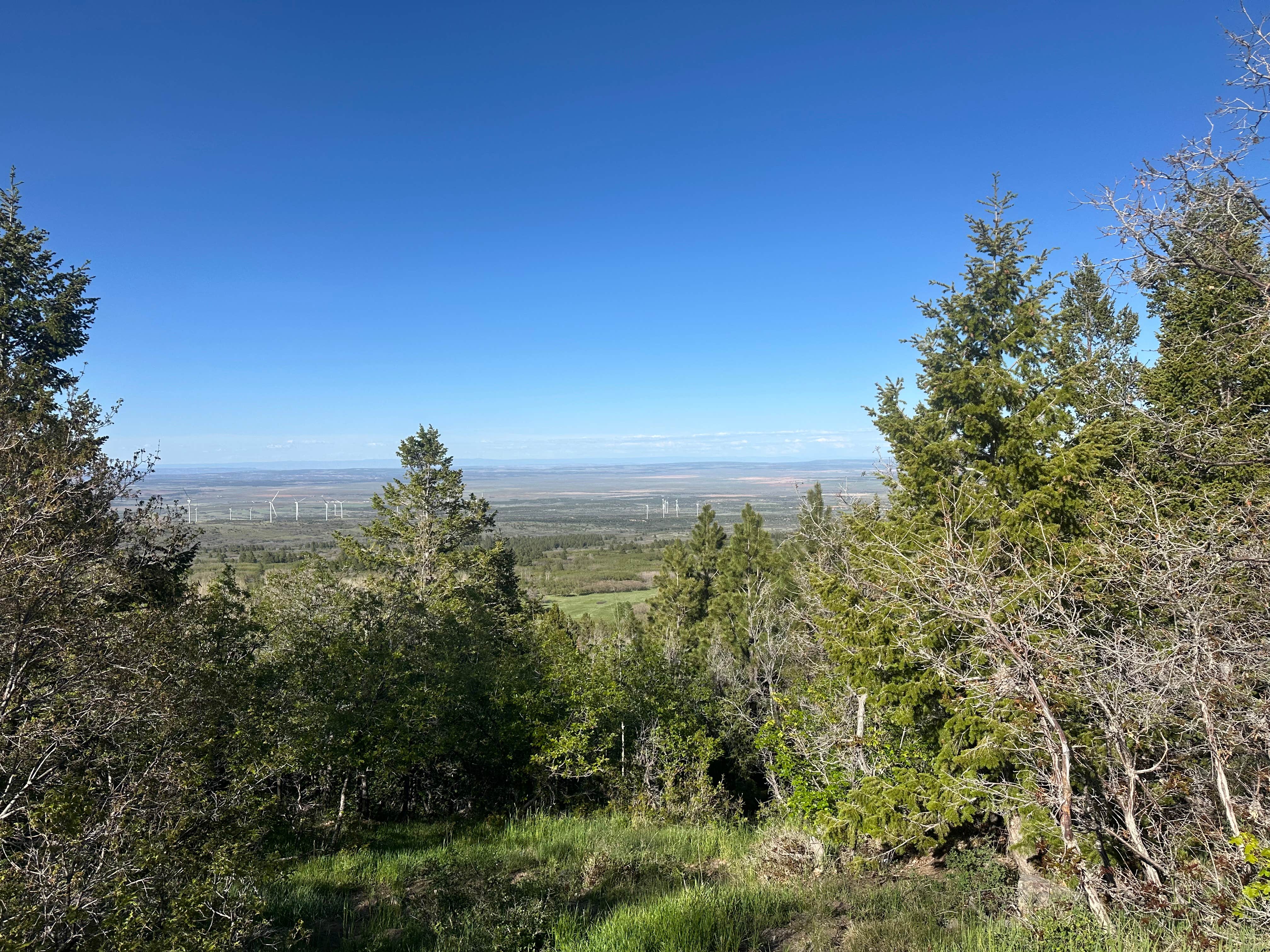 Camper-submitted photo at Old Ski Lift on Blue Mountain near Monticello, UT