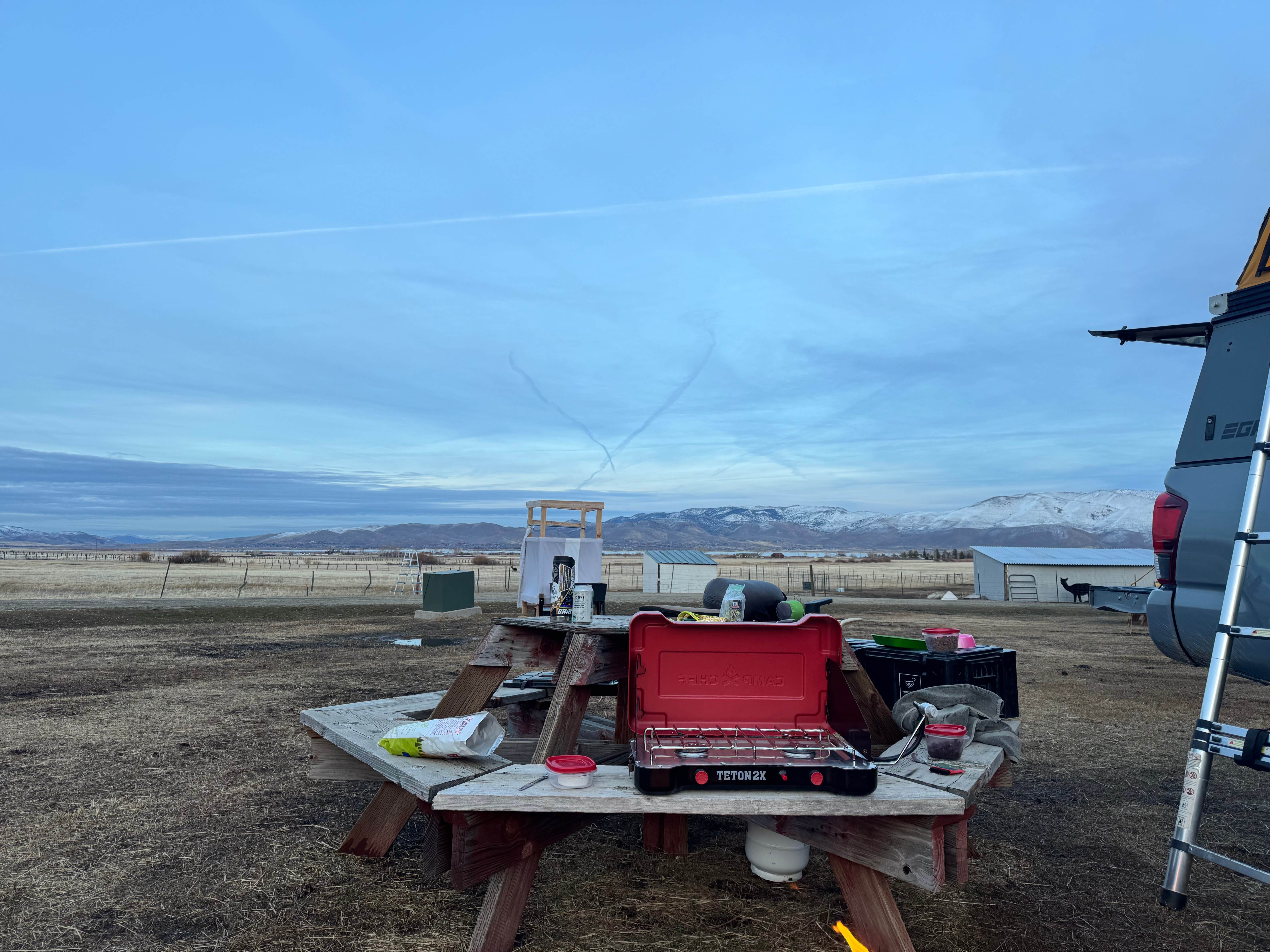 Jeremy M.'s photo of camping with pets at Olde LYFE Alpacas on Davis Ranch near Sparks, NV