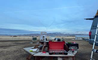 Jeremy M.'s photo of camping with pets at Olde LYFE Alpacas on Davis Ranch near Carson City, NV