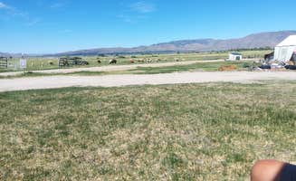 liz E.'s photo of tent camping at Olde LYFE Alpacas on Davis Ranch in Nevada