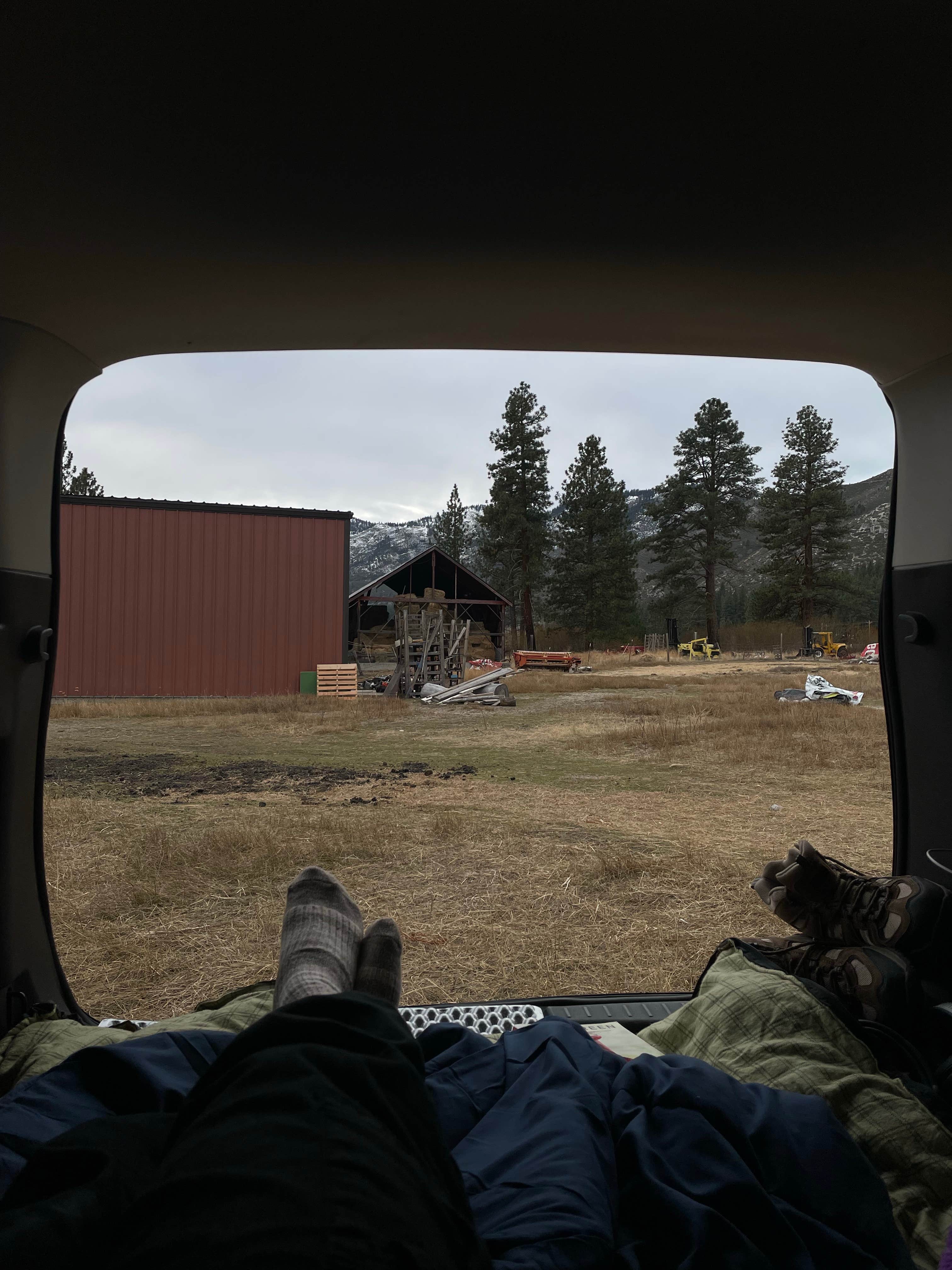 Camper submitted image from Olde LYFE Alpacas on Davis Ranch - 5
