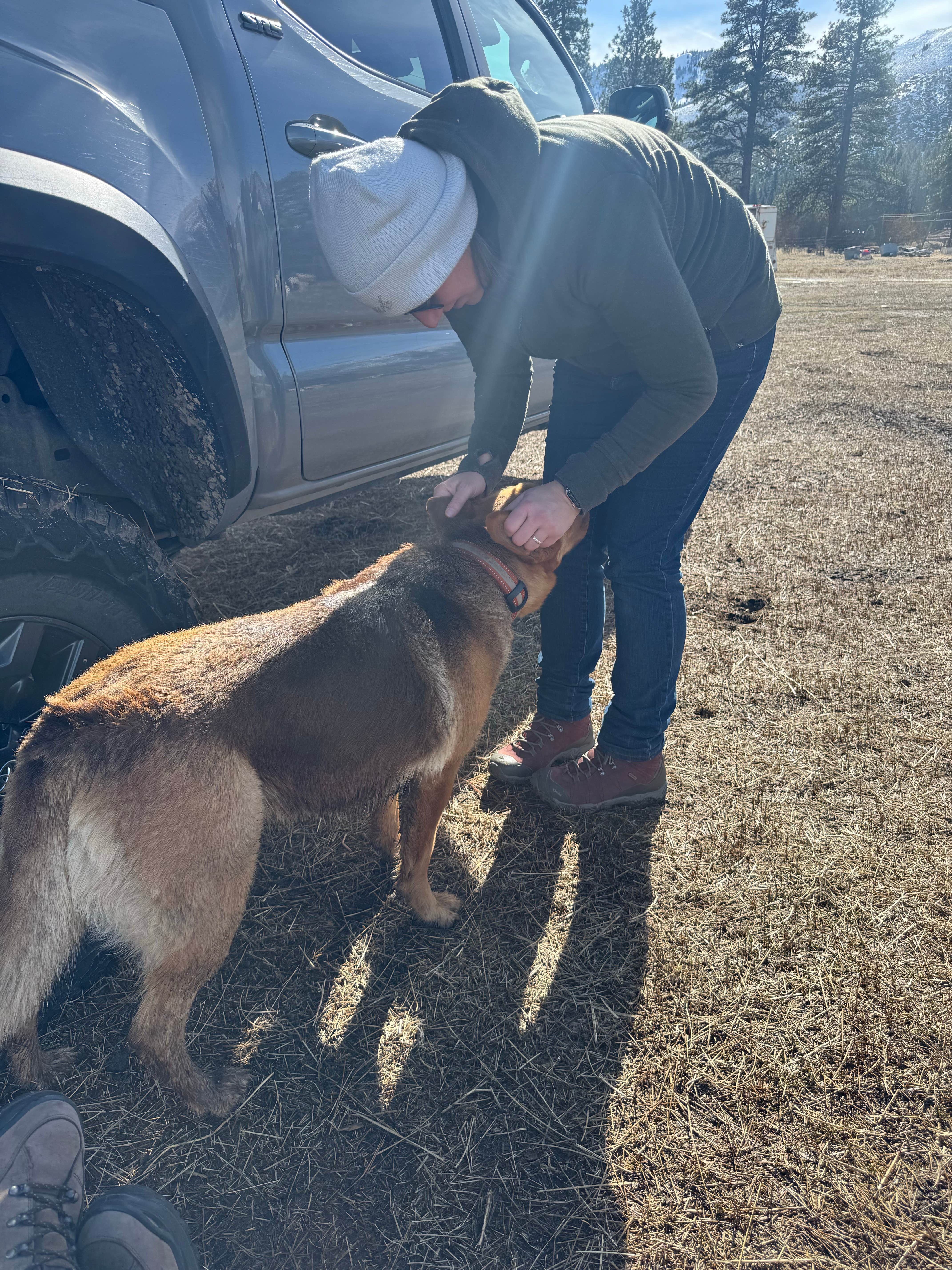 Jeremy M.'s photo of camping with pets at Olde LYFE Alpacas on Davis Ranch near Gardnerville, NV