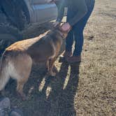 Review photo of Olde LYFE Alpacas on Davis Ranch by Jeremy M., February 21, 2025