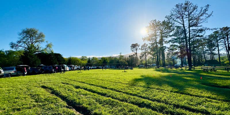 Camper submitted image from Olema Campground